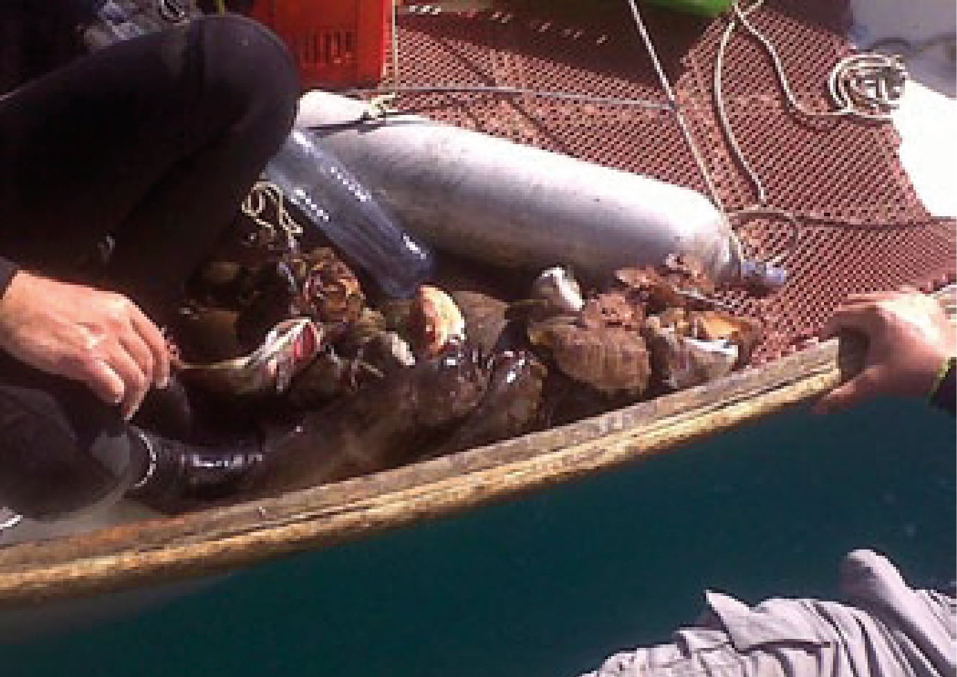 דיג במיכלי צלילה של ערך טבע מוגן- כפן גושמני | צילום: אייל מילר