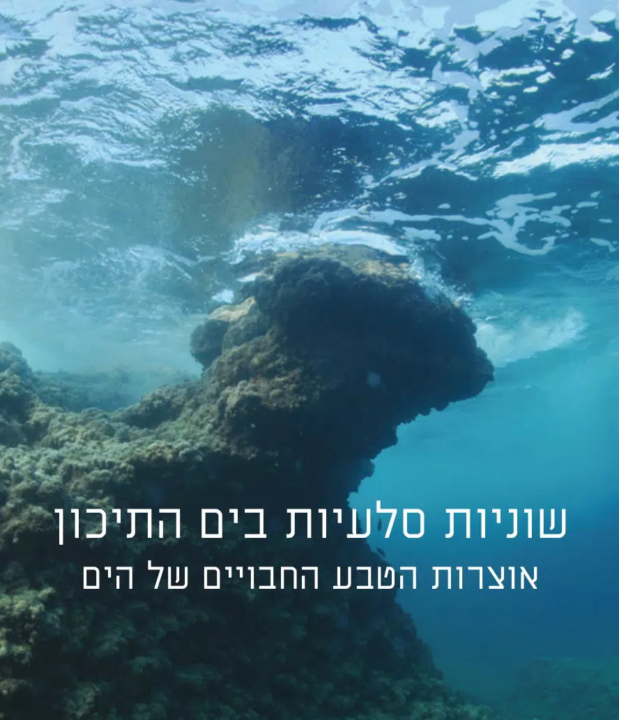 תמונת חוברת שוניות סלעיות