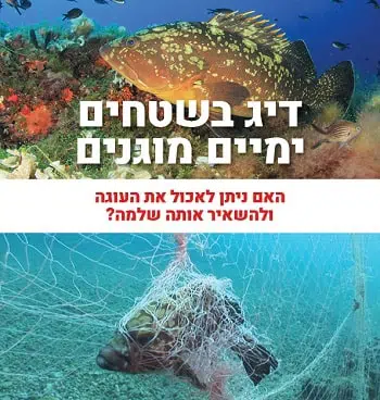 דיג בשטחים מוגנים