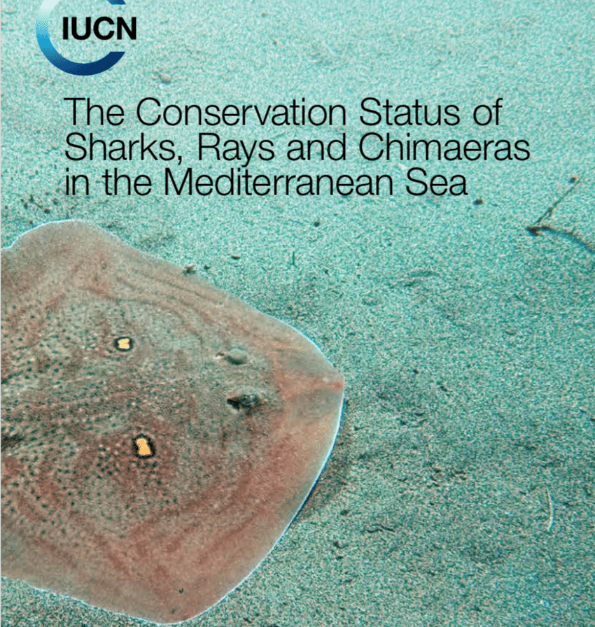 The Conservation Status of Sharks, Rays and Chimaeras in the Mediterranean Sea