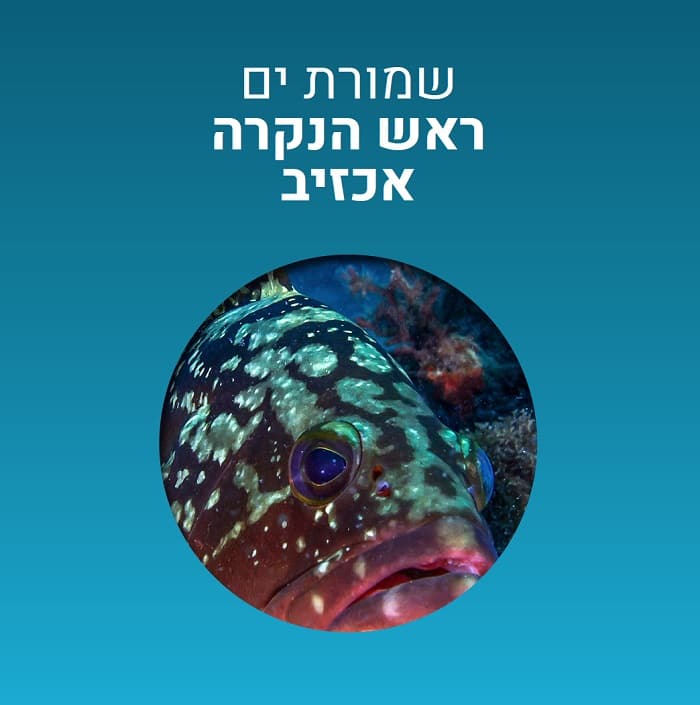 שמורת הים ראש הנקרא אכזיב