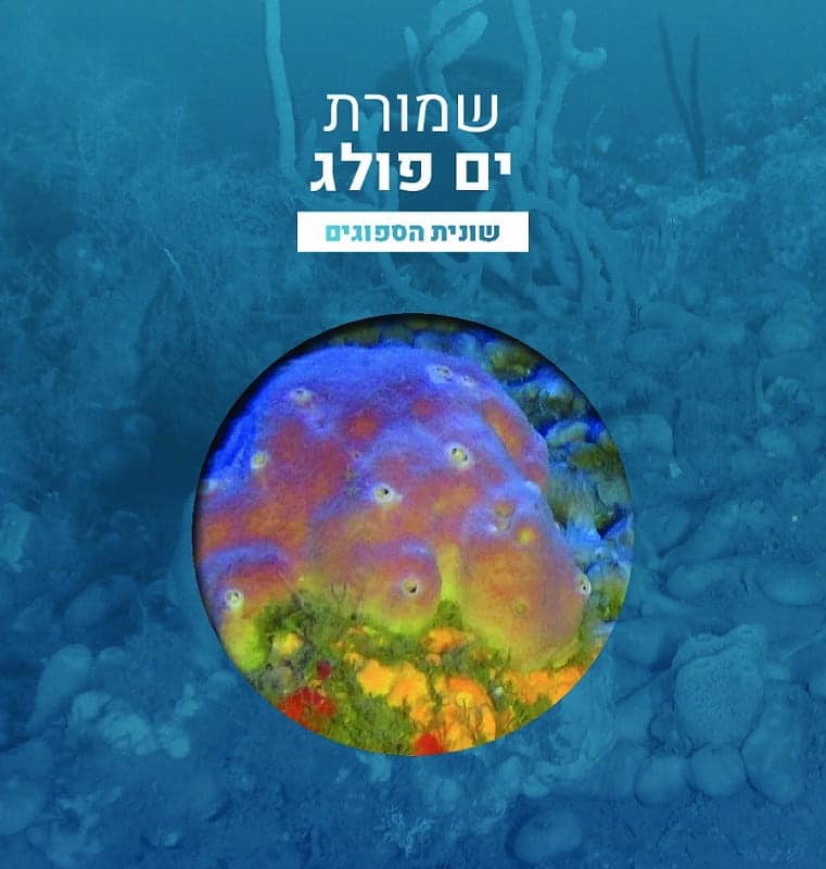 שמורת ים פולג